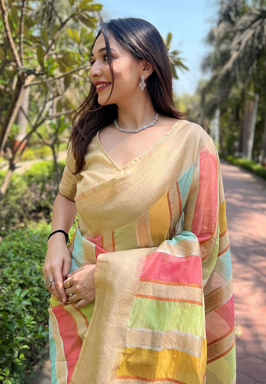 Chickoo Cream Organza Saree