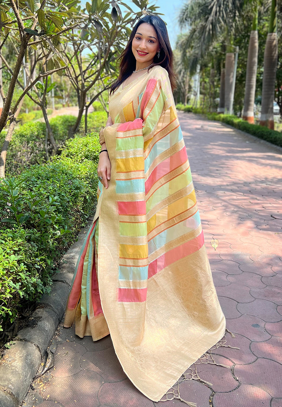 Chickoo Cream Organza Saree