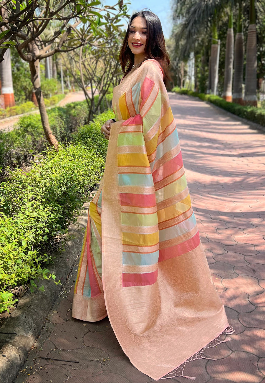 Light Peach Organza Saree