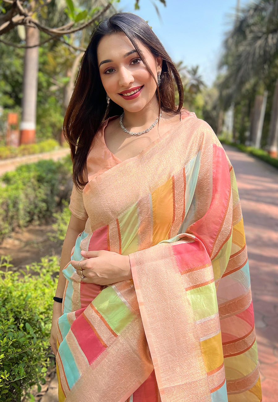 Light Peach Organza Saree