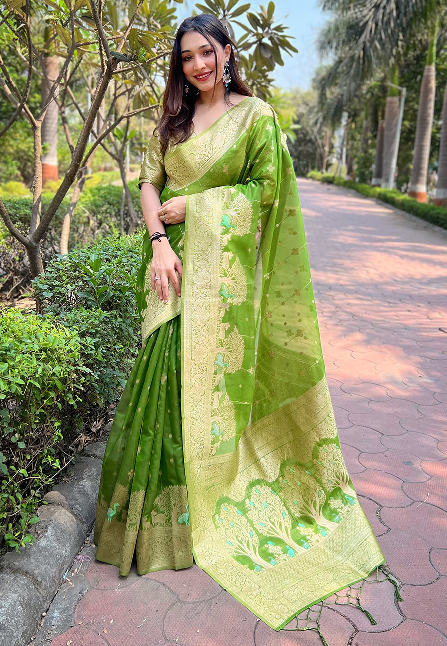 Green Organza Saree
