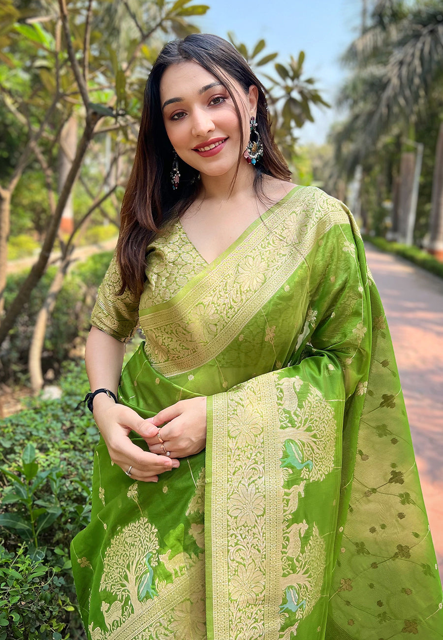Green Organza Saree