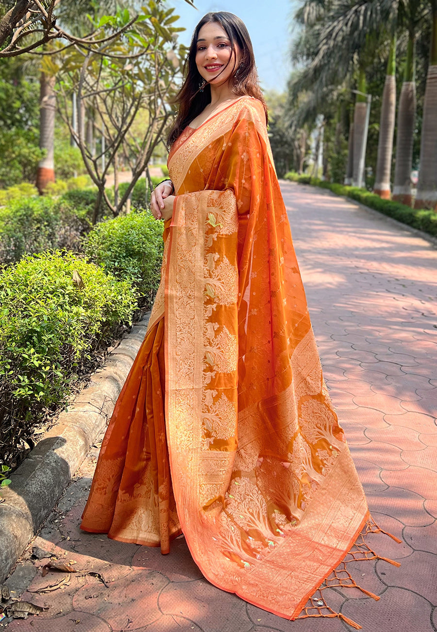 Orange Organza Saree