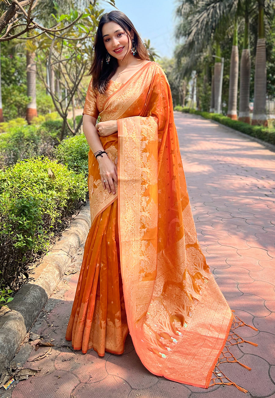 Orange Organza Saree