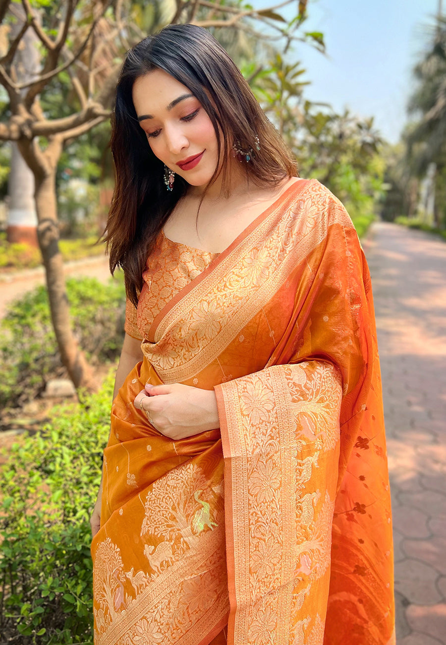 Orange Organza Saree