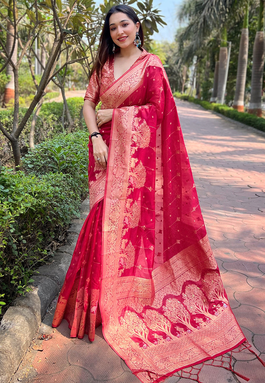 Pink Organza Saree