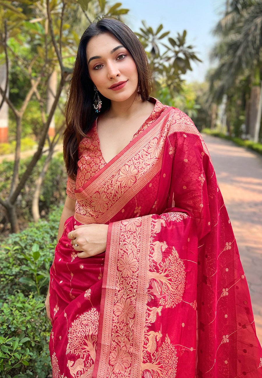 Pink Organza Saree