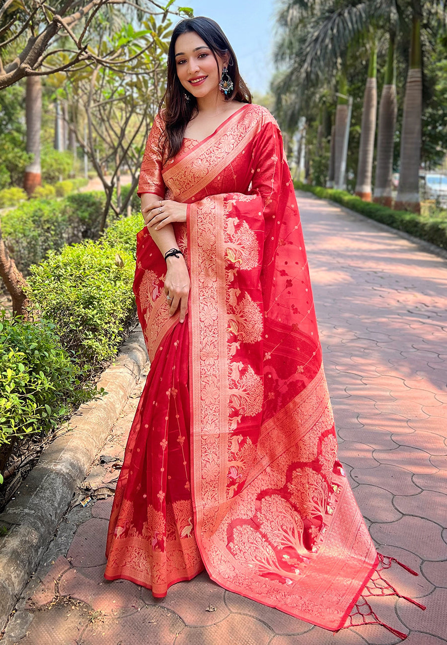 Red Organza Saree