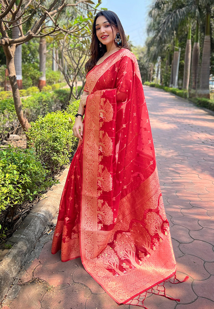 Red Organza Saree