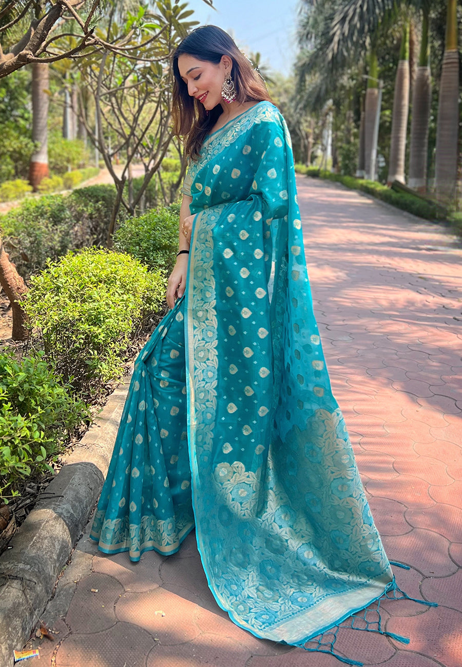 Sky Blue Organza Floral Saree