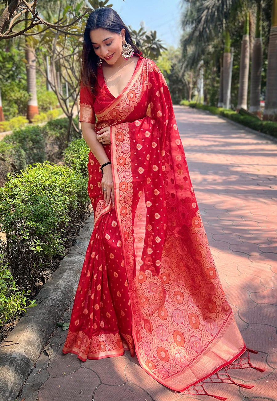 Bright Red Organza Floral Saree