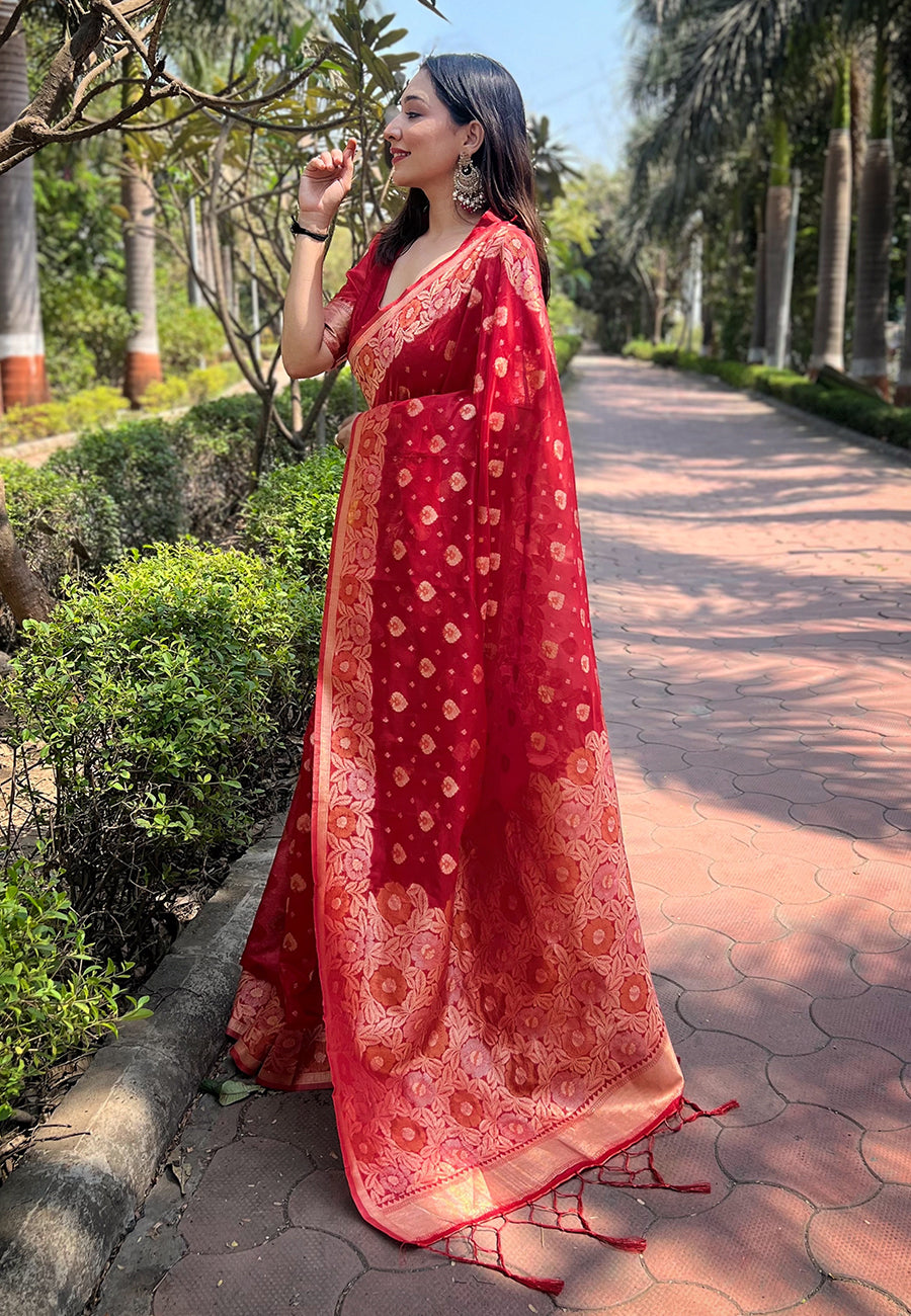Bright Red Organza Floral Saree