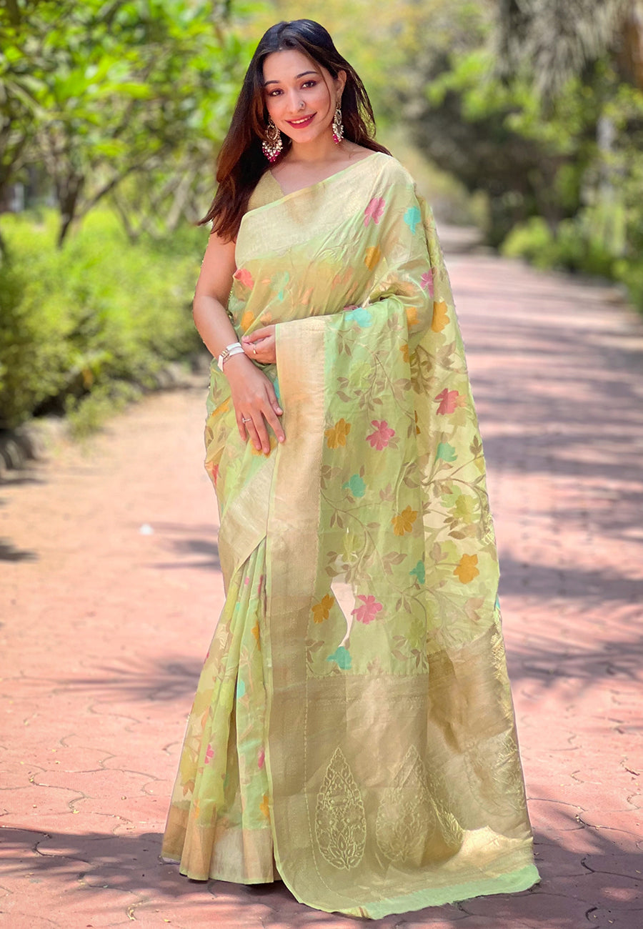 Light Green Organza Saree