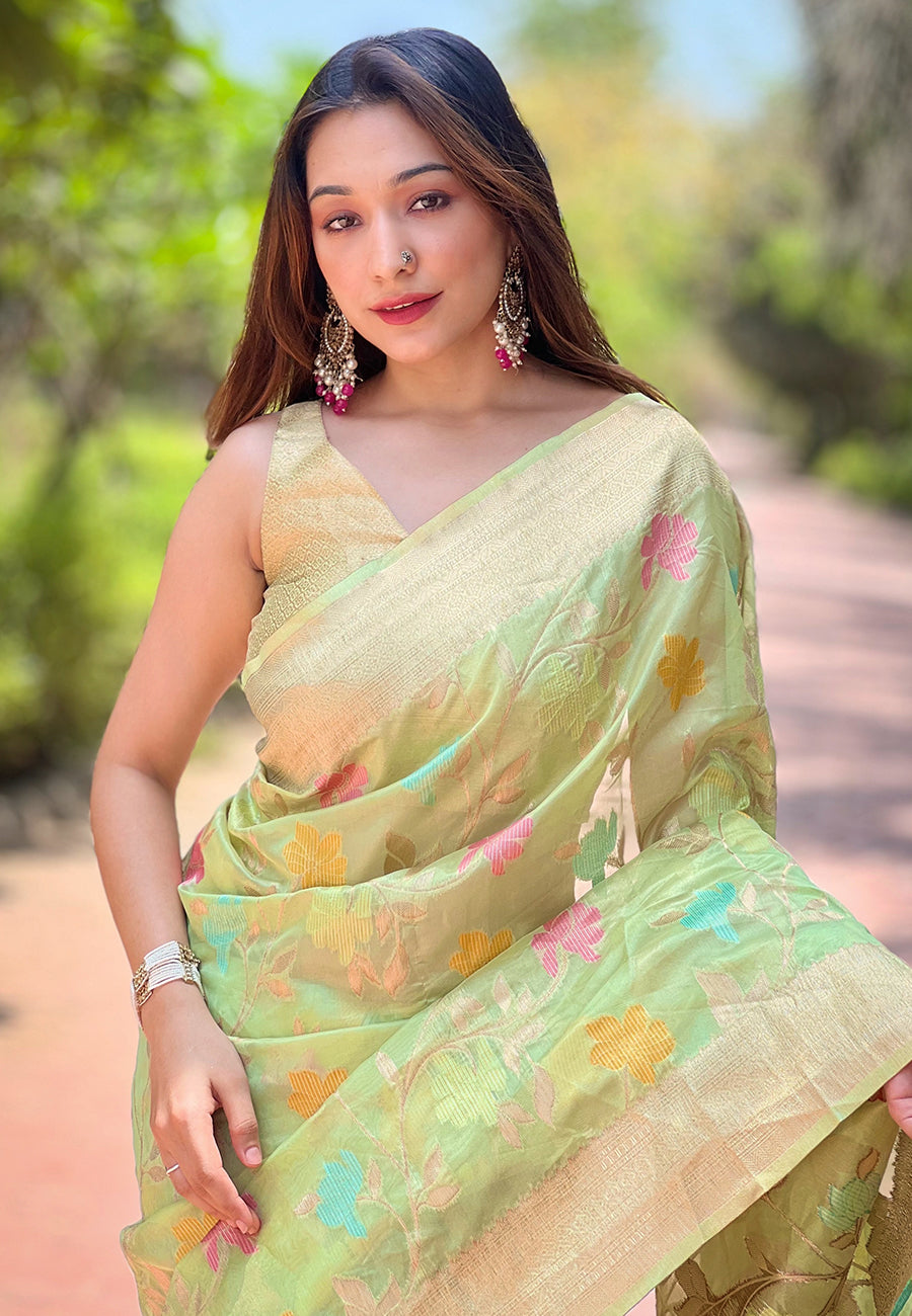 Light Green Organza Saree