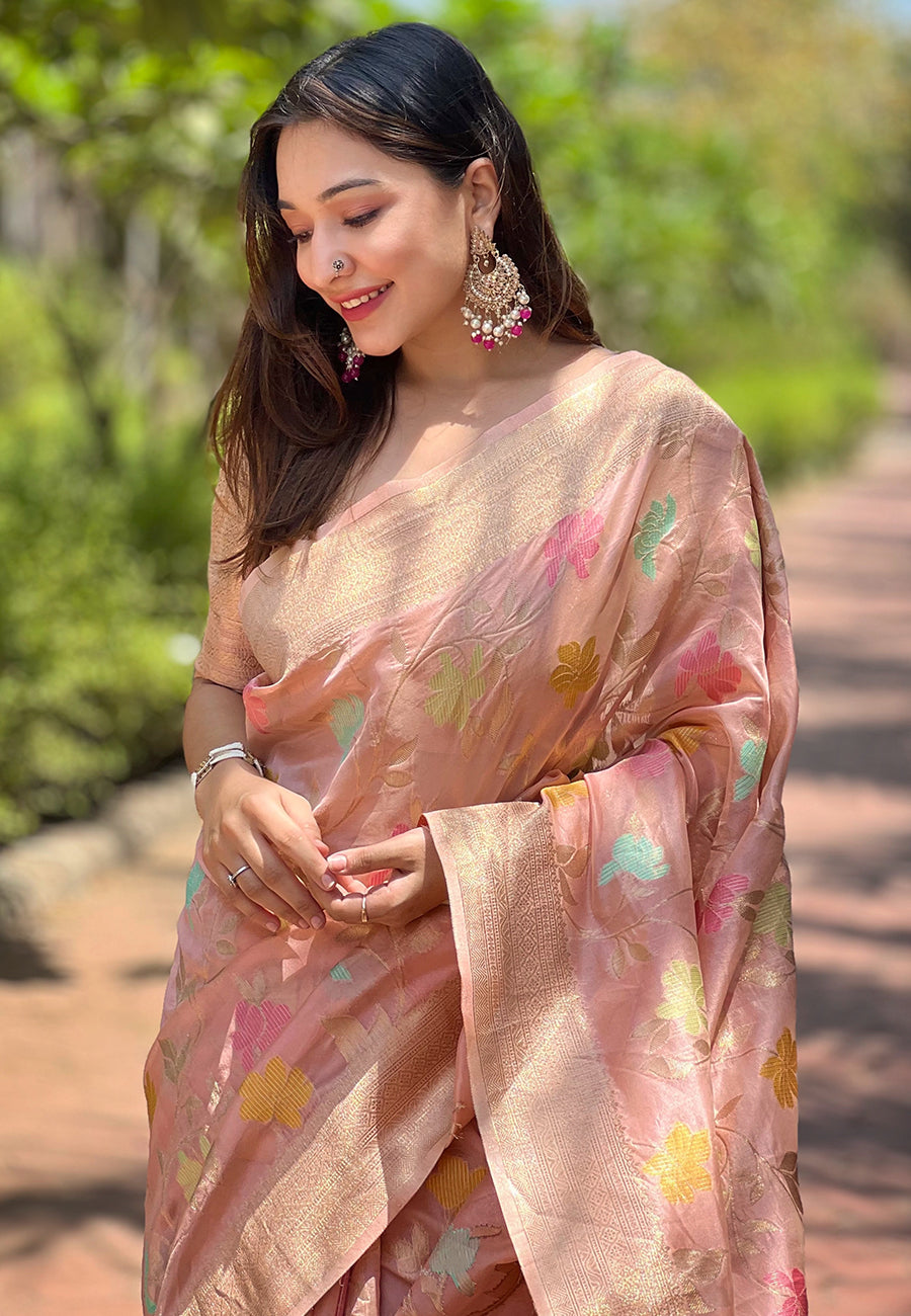 Blush Pink Organza Saree