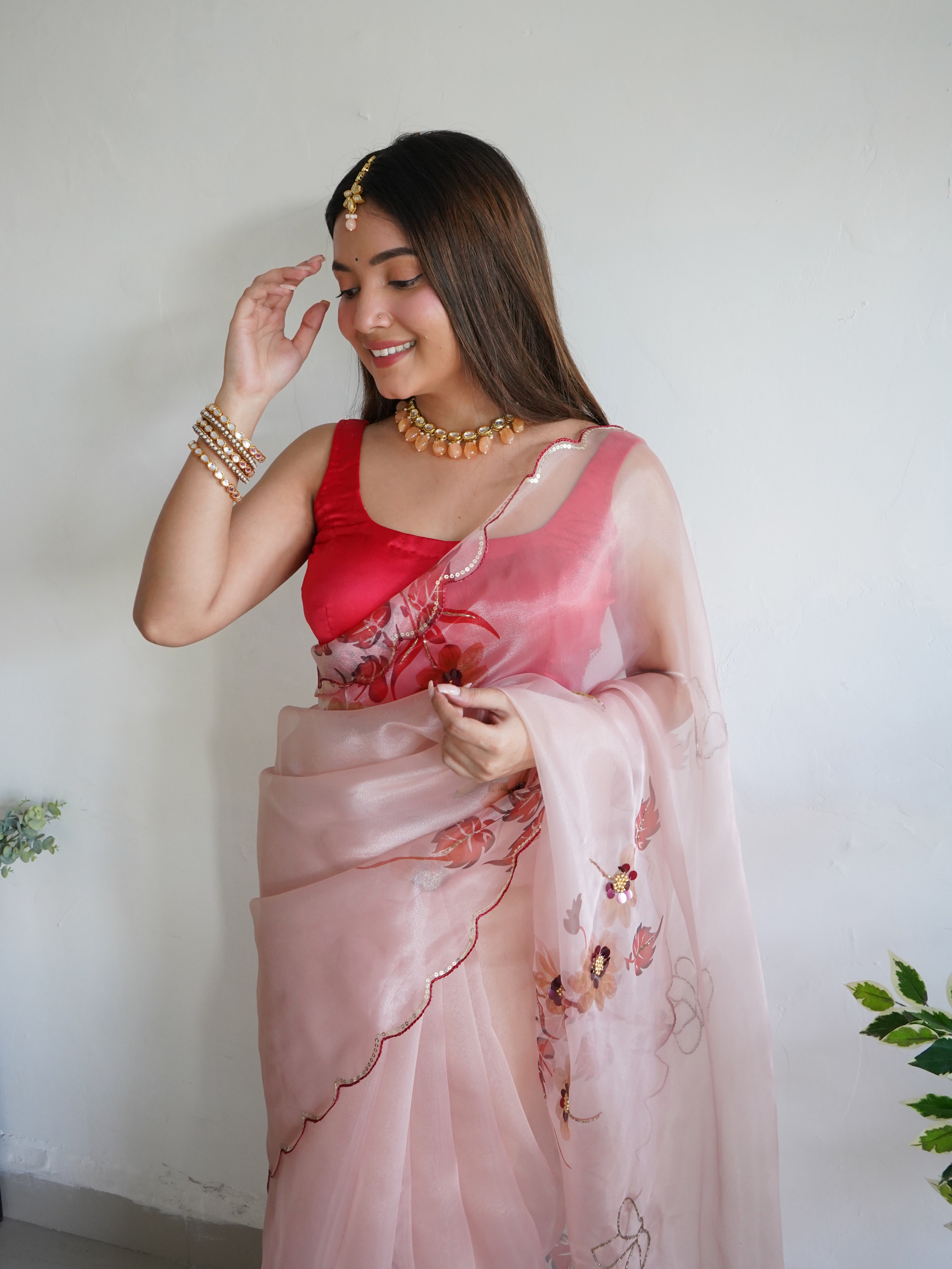 Brown Organza Saree With Banglori sattin Blouse