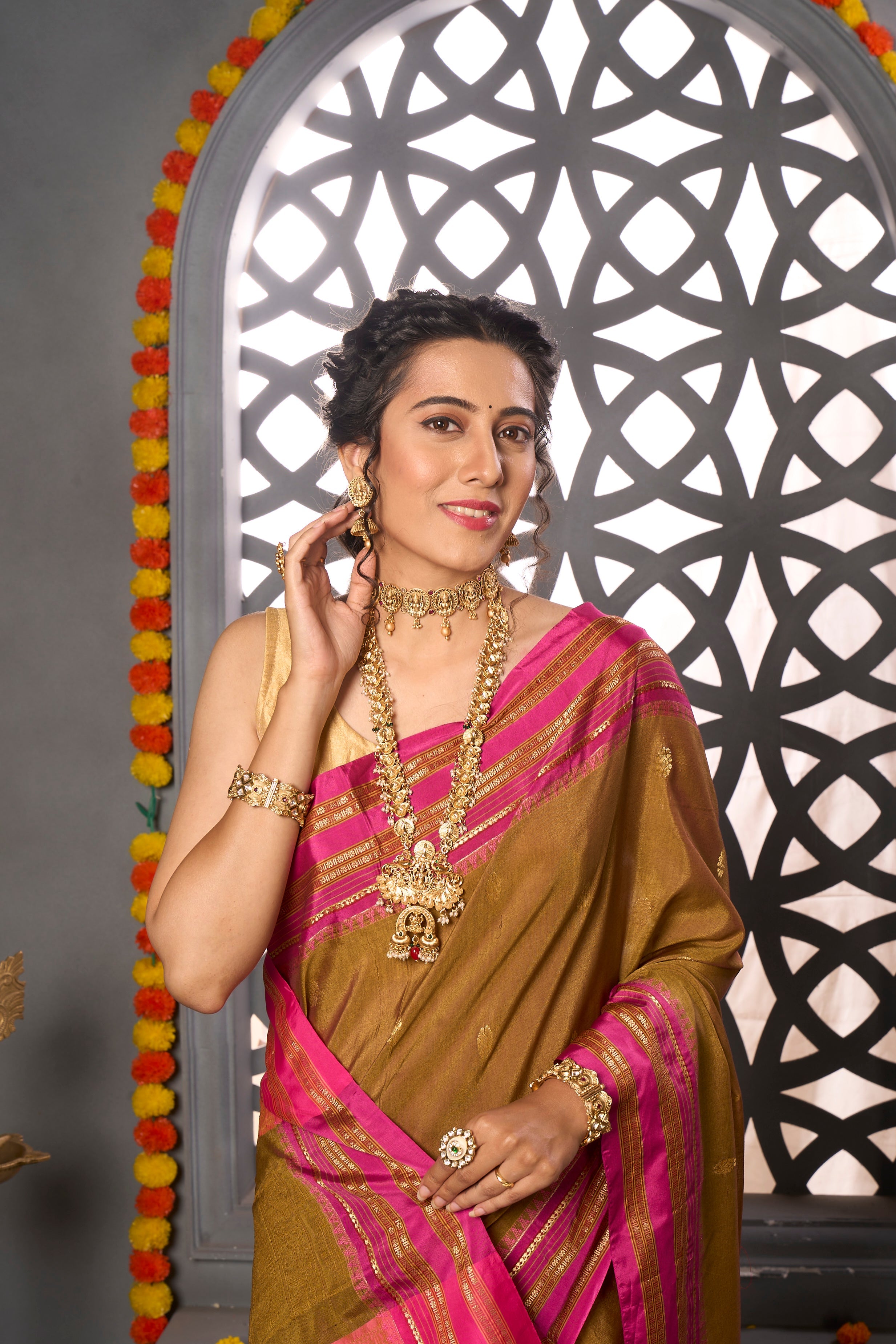 Buy Coin Grey Digital Organza saree Nitaraa