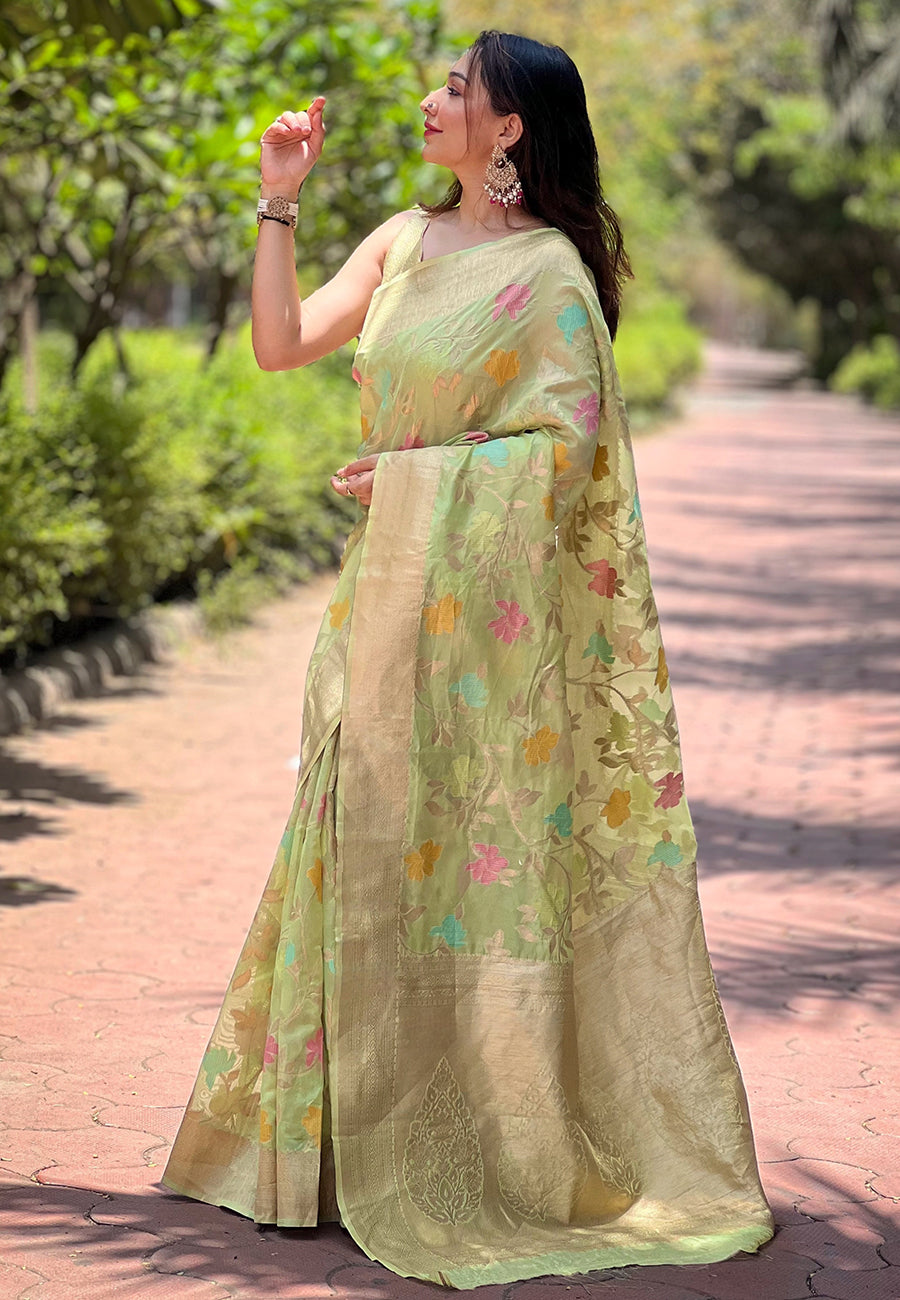 Light Green Organza Saree